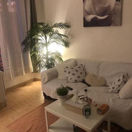 Appartement Cosy Сен-Рафаэль Экстерьер фото
